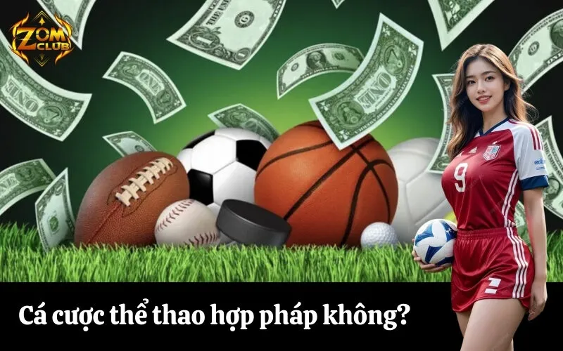 Cá cược thể thao hợp pháp không