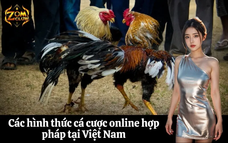 zomclub Các hình thức cá cược online hợp pháp tại Việt Nam