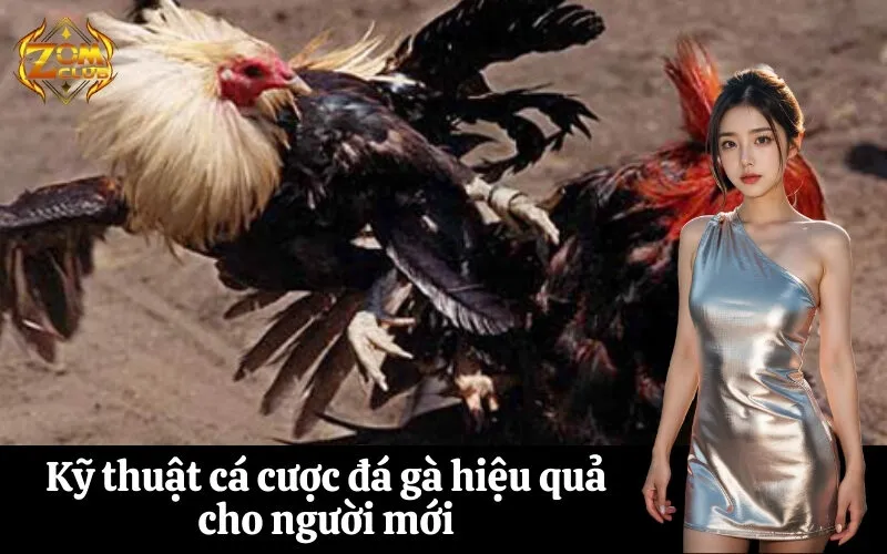 Kỹ thuật cá cược đá gà hiệu quả cho người mới